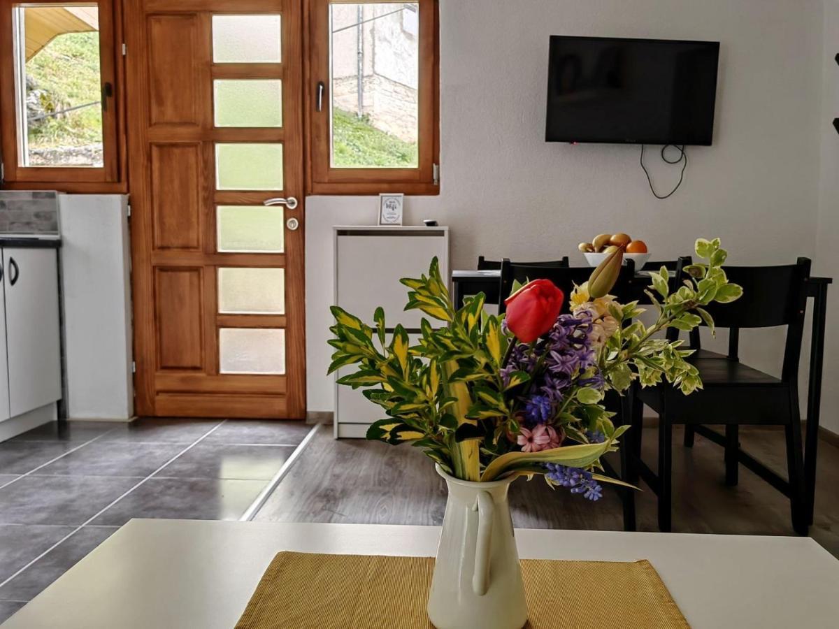 Apartmán Ive Andrica 3 Višegrad Exteriér fotografie
